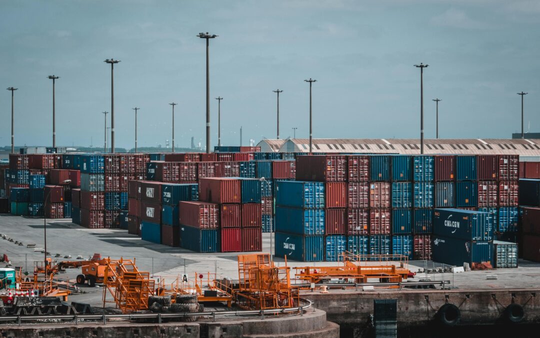 Why Shipping Containers Are a Popular Choice for Affordable Storage Solutions