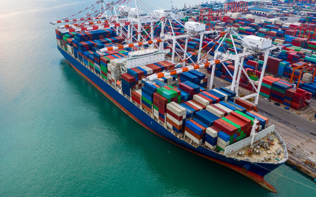 Best Shipping Containers for Agricultural Storage in Ontario