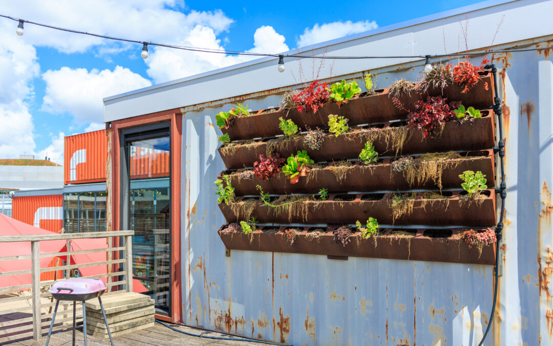 Shipping Container Gardening and Greenhouse Ideas for Spring